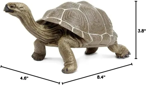 Vista 5 de Safari Ltd. Figura de tortuga – Figura detallada de plástico de 8.5 pulgadas – Divertido juguete educativo para niños, niñas y niños a partir de 18