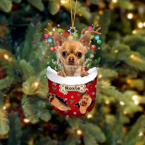 Vista 195 de LOVELYPOD Adorno Personalizado de Perro Affenpinscher, Adornos de Navidad Affenpinscher Regalo para Amante de Perros, Adorno de Navidad Colgante