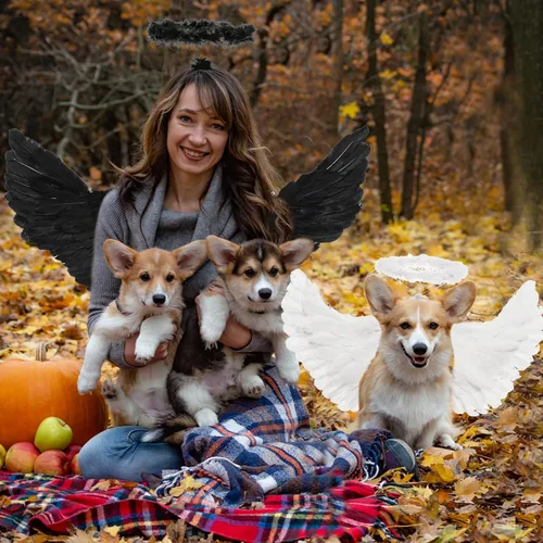 Vista 2 de Angel Wings and Halo Adult Feather Angel Wings Costume for Women Halloween Cosplay Costumes