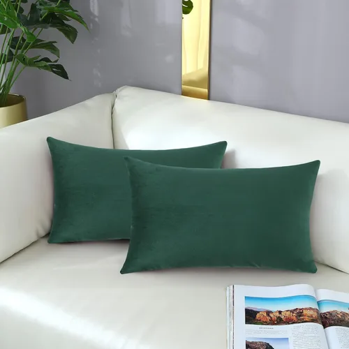 Vista 39 de mixeoo Comfy - Juego de 2 fundas de almohada decorativas de terciopelo grueso sólido y grueso, súper suaves, decoración del hogar para sofá, sala