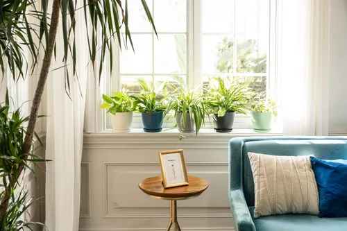 Vista 2 de Mkono Macetas de plástico de 7.5 pulgadas para plantas con platillos, juego de 5 macetas de plástico para interiores, maceta moderna con orificio