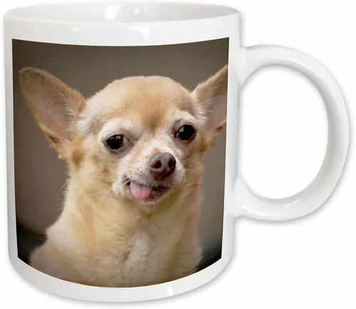 Vista 14 de 3dRose Taza de café, tamaño – 15 oz – Perro Chihuahua sin dientes, Santa Fe, Nuevo México – US32 JMR0502 – Julien McRoberts Dogs – divertido regalo