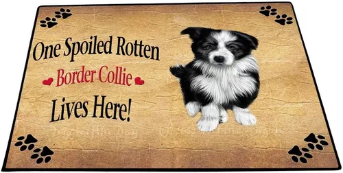 Vista 20 de Doggie of the Day Border Collie Dogs Floor Mat - 4th of July Independence Day - Best Dog Doormat - Protector Decor - Unique Portrait Art - Premium