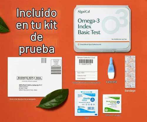 Vista 4 de ALGAECAL Kit de prueba de dedos Omega 3 – Kit de prueba casera fácil con sobre de devolución prepago, resultados rápidos y sin complicaciones