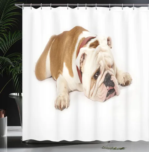Vista 3 de Ambesonne Cortina de ducha de bulldog inglés, Bulldog triste y cansado, fotografía de animales de raza pura europea, juego de decoración de baño