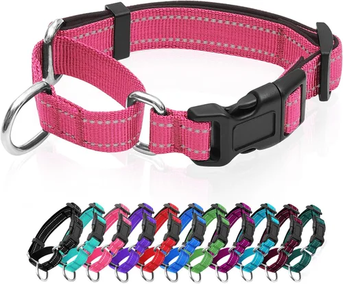 Vista 16 de Collares de perro Martingale reflectantes. Collar de perro con hebilla de liberación rápida. Collar de mascota de nylon ajustable, suave, acolchado