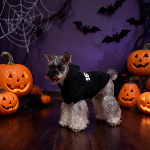 Vista 7 de EXPAWLORER Sudadera con capucha para perro, suave y cálida con agujero para correa, disfraz de Halloween para perros de invierno y otoño, ropa