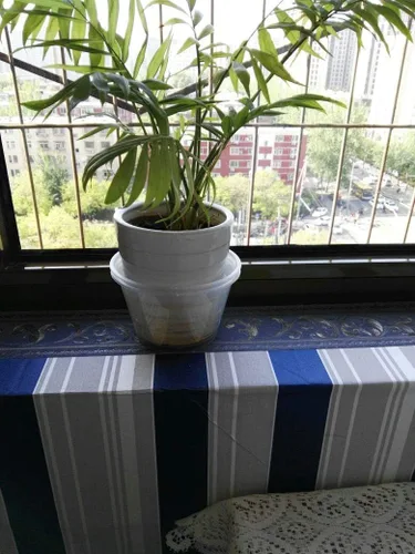 Vista 6 de UPREDO Papel tapiz decorativo 3D con moldura floral, borde impermeable para pared, techo, para baño, cocina, azulejos en muro, 4 pulgadas por 16.4