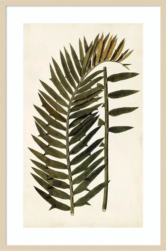 Vista 18 de Amanti Art Vision Studio - Lienzo decorativo para pared, 24 x 17 pulgadas, variedades de hojas VIII, arte de pared de naturaleza, decoración