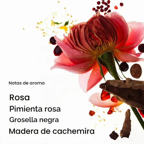 Vista 3 de PHLUR Rose Whip Eau de Parfum – Perfume de tamaño completo – Perfume floral afrutado con rosa, grosella negra, pimienta rosa, nuez moscada, madera
