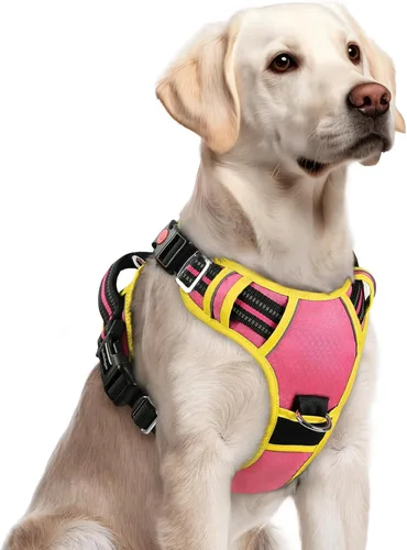 Vista 36 de Rabbitgoo - Arnés para perro de tamaño pequeño, sin tirones, 3 hebillas, fácil de poner y quitar Negro