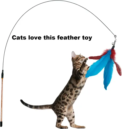Vista 5 de CATENESS Recambios de juguetes de plumas para gatos, 10 piezas de repuesto para gatos