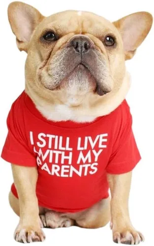 Vista 11 de Camisa para perro de bulldog francés para mascotas, camisetas para cachorros, camiseta de gato, transpirable, elástica, disfraces, talla M