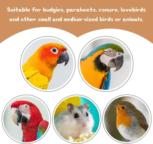 Vista 7 de 9 perchas de madera natural para pájaros, soporte de madera para loros, ramas, accesorios de plataforma para periquitos, cacatúas, conures