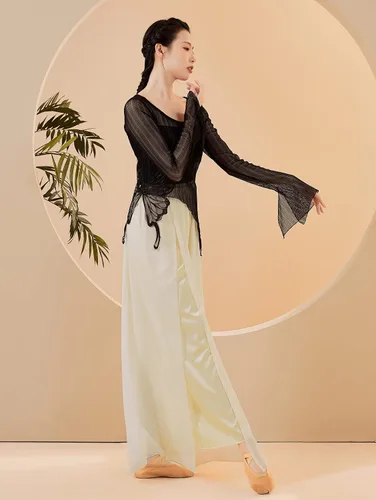 Vista 5 de Camiseta de malla transparente con cuello redondo y manga larga para mujer