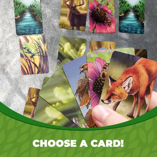 Vista 3 de Genius Games Paquete de ecosistema, ecosistema de arrecife de coral y sabana, un juego de cartas familiar sobre animales, sus hábitats