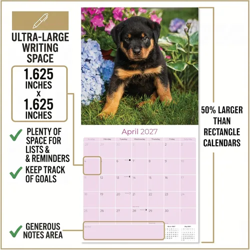 Vista 3 de Razas de Perros 2017