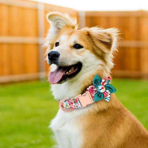 Vista 2 de Collar de perro lindo para cachorros, pequeños, medianos y grandes, collar de perro ajustable con hebilla de metal, flor desmontable, collar