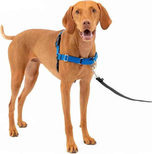 Vista 33 de PetSafe Easy Walk - Arnés para perro, sin tirones, gris carbón Carbón/Negro