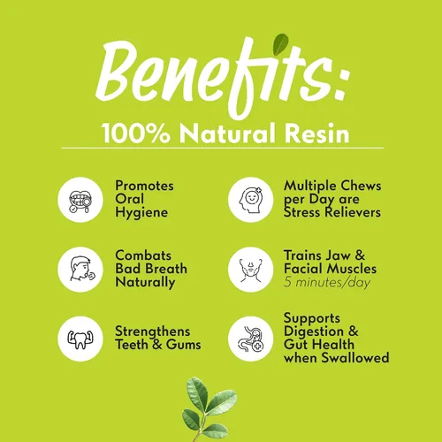 Vista 5 de Chios Mastiha - Resina natural de 0.71 oz – Lágrimas pequeñas Goma de masilla de Chios 100% pura Certificado PDO Goma de mascar dura natural