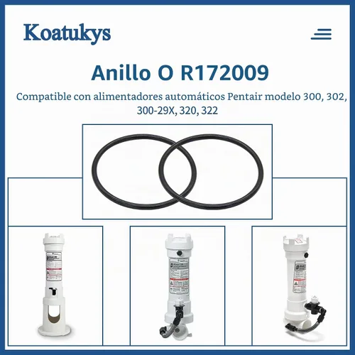 Vista 2 de 2PCS R172009 O-283 O-Ring para clorador de arco iris Pentair