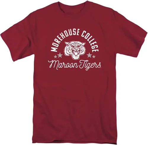 Vista 73 de Collegiate Distressed Mascot Unisex Adult T Shirt Collection 3 Universidad de Adelphi