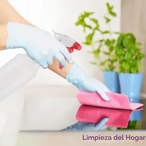 Vista 5 de DilaBee Botella de spray de plástico (paquete de 2) – Botellas de spray vacías de 16 onzas para limpieza, jardinería y parrilla – Botella de spray