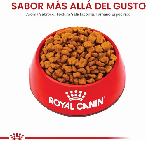 Vista 8 de ROYAL CANIN NUTRICIÓN SANA PARA RAZA bulldog cachorro, alimento seco para perro