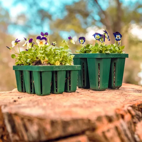 Vista 5 de Vego garden Seedling Suite Products, paquete de 8 bandejas de plántulas jumbo con tapas de bandeja de plántulas y bandejas de riego inferiores de 10