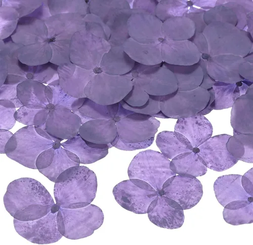 Vista 17 de M METERXITY Paquete de 60 flores secas prensadas para resina, morado y Morado y blanco