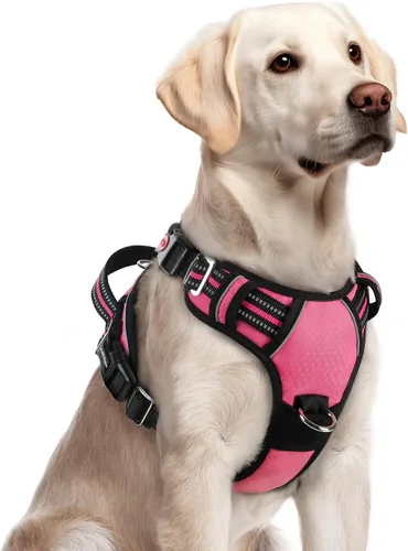 Vista 24 de Rabbitgoo - Arnés para perro de tamaño pequeño, sin tirones, 3 hebillas, fácil de poner y quitar Negro