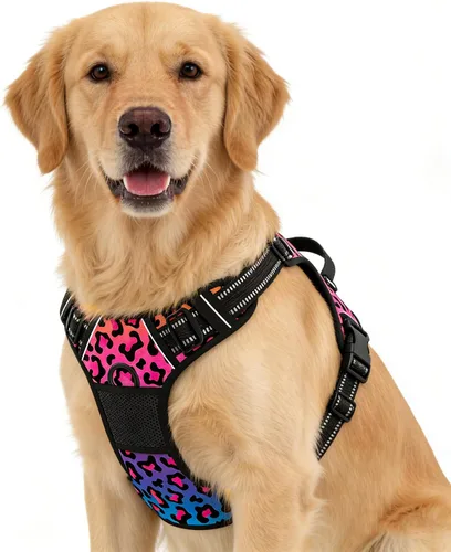 Vista 9 de Rnivvi Arnés para perro sin tirones, bonito arnés reflectante de tamaño extra pequeño, chaleco acolchado suave ajustable para perros pequeños