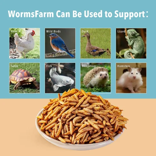 Vista 6 de WormsFarm Larvas secas de mosca soldado negro de 5 libras para pollo, más calcio que gusanos de harina, para gallina ponedora, aves silvestres