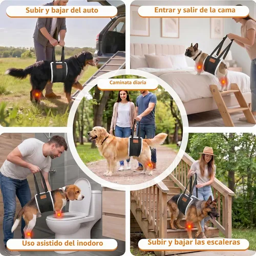 Vista 8 de Arnés de elevación ajustable para perros, honda grande de la ayuda Negro