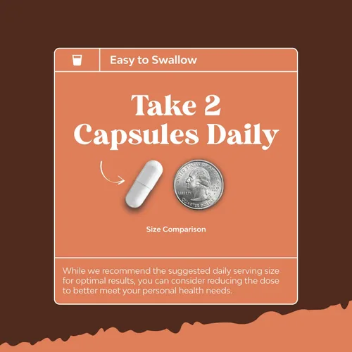 Vista 6 de Advanced Mushroom Complex Cápsulas – 10 cápsulas de suplemento de melena de león con Reishi, Chaga, Maitake y Shiitake para la salud cerebral apoyo