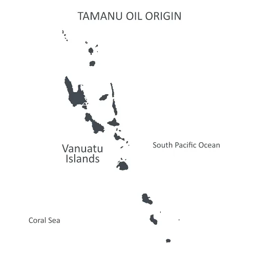 Vista 8 de Aceite de tamanu orgánico para la piel, 100% puro, prensado en frío, sin refinar, libre de crueldad, hidratante, hidratante para el cuidado
