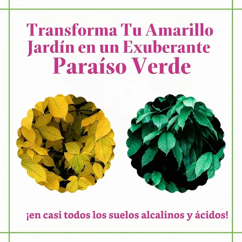 Vista 3 de Grow More - Concentrado de quelante de hierro orgánico 7450 8 onzas, 8 onzas, Multicolor