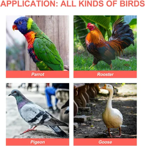 Vista 5 de ULTECHNOVO Vasos de alimentación para pájaros, 12 unidades, platos, pájaros, animales, jaula de alimentación, colgante, cacatúa, agua, animales