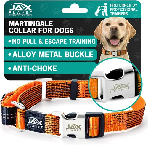 Vista 11 de Collar Martingale para perros, collar de entrenamiento para perros sin tirones y antideslizante, nailon resistente para caminar activamente, hebilla
