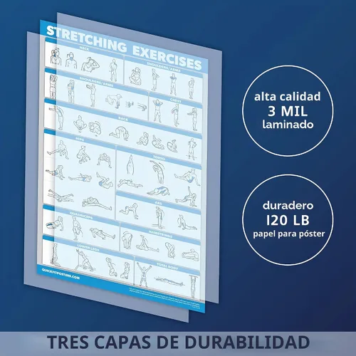 Vista 2 de Palace Learning QUICKFIT - Póster de ejercicios de estiramiento, rutina de estiramiento (laminado, 18 x 24 pulgadas)