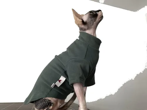 Vista 2 de Sphynx - Ropa térmica cálida para gatos, ropa interior térmica sin pelo para Devon, Cornish, Perterbald Cat (XS)