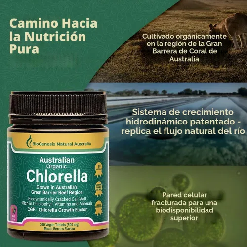 Vista 5 de Biogenesis Tabletas orgánicas de Chlorella – 300 unidades (500 mg) bayas mixtas Cultivado en Australia Pared celular agrietada BioDynamic Rico