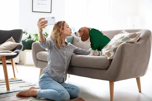 Vista 6 de Suéter de perro con cuello alto y tejido de punto, ropa para mascotas de color sólido, suéter para cachorros cálido, suéteres para perros pequeños