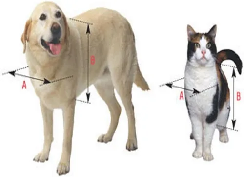 Vista 5 de Ideal Pet Products - Puerta original para mascotas con marco telescópico, extragrande, tamaño de solapa de 10.5 x 15 pulgadas