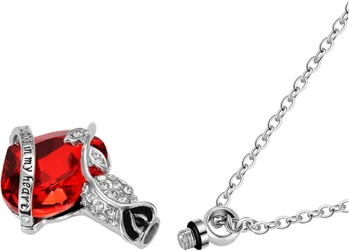 Vista 3 de Collar de urna de cremación de corazón para cenizas, joyería de urna de cenizas, colgante de cremación Always in My Heart regalo conmemorativo