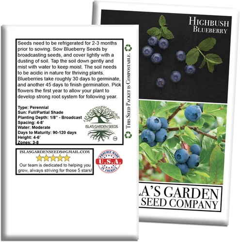 Vista 7 de Semillas de arándano Highbush (variedades del norte y del sur) - Más de 300 semillas sin OMG y reliquias, Vaccinium corymbosum, paisajes comestibles
