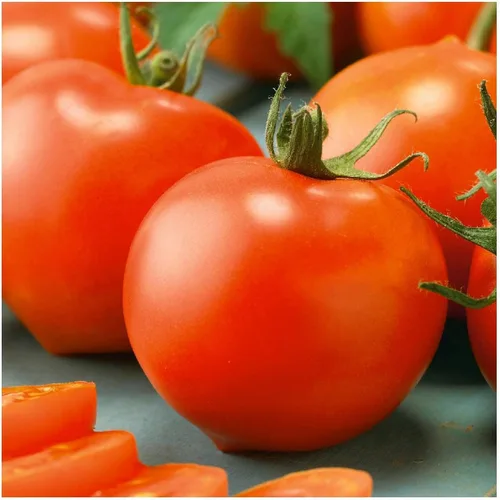 Vista 2 de everwilde explotaciones – Bonny mejor orgánico Heirloom semillas de tomate – El oro Vault Packet