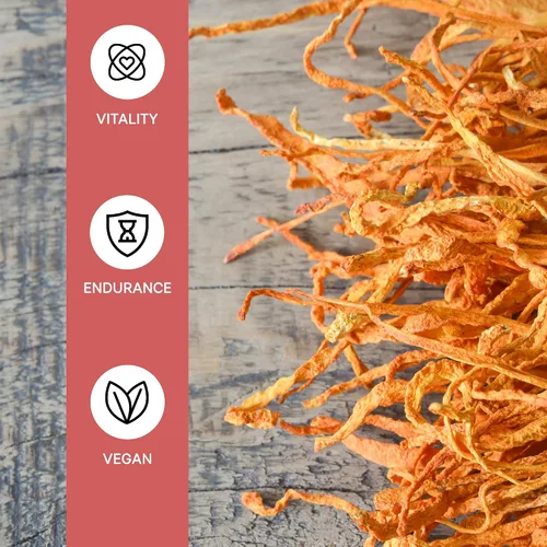 Vista 4 de Cordyceps Cápsulas de alta potencia 30% beta-glucanos 120 cápsulas veganas 60 porciones Apoya la vitalidad y resistencia Certificado