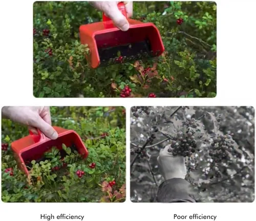 Vista 7 de Blueberry Picker with Handle Berry Picking Aid Fruit Picker Orchard Picking Tool Raspberries Blueberry Blackcurrantfriendly, Effective and Easy to