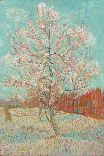 Vista 41 de Póster de “La noche estrellada” (1889) de Vincent Van Gogh, 18 x 12 pulgadas Ramas de flor de almendro 9897